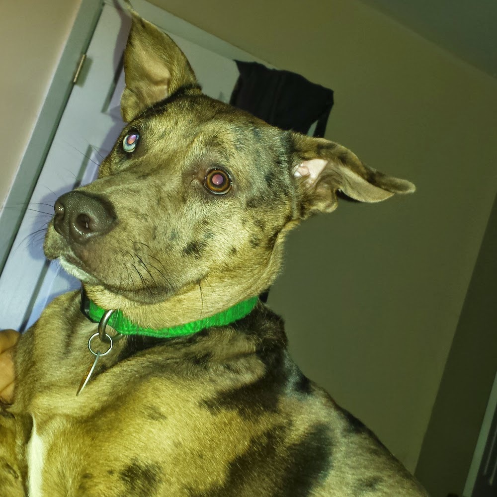 Meet your Posher, Mirna