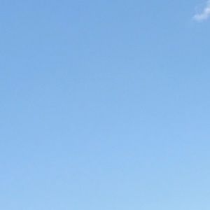 Meet your Posher, Danny