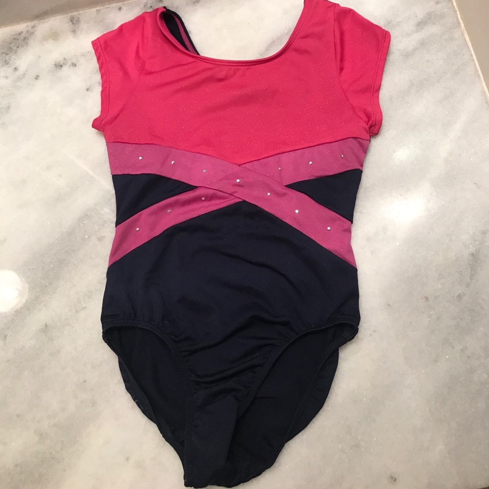 Freestyle by Danskin  Pink & Navy Leotard