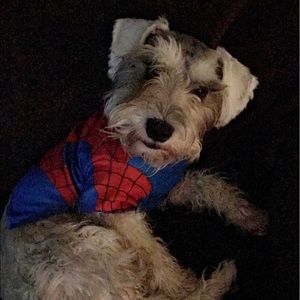 Meet your Posher, Deondrea