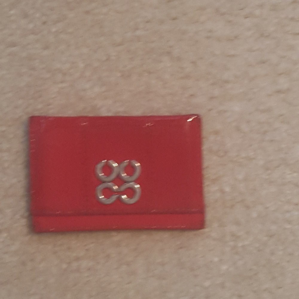 Coach ID/DL holder