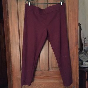 Loft Burgundy Leggings