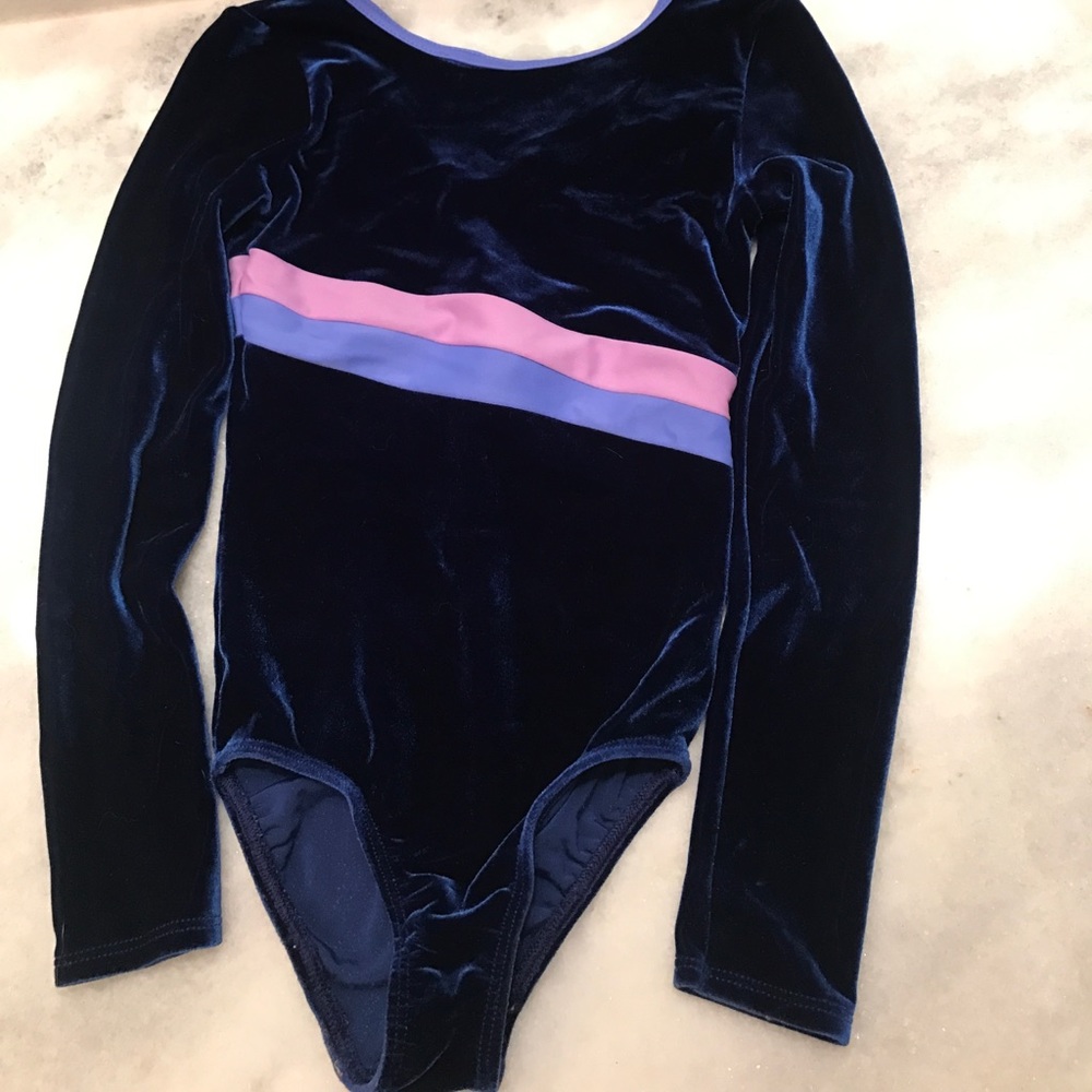 Danskin Blue Velvet Long Sleeve Leotard