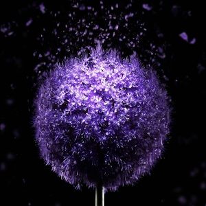 Meet your Posher, Maxie