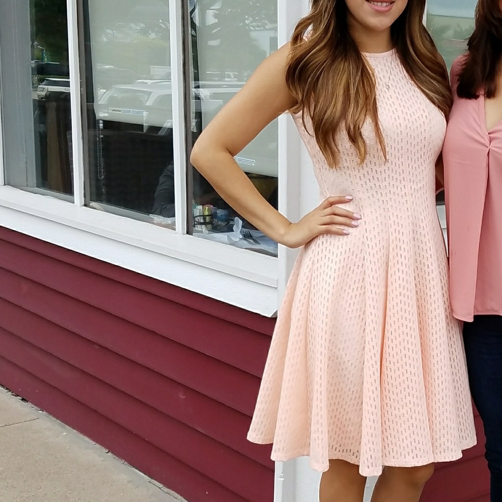 Pink Calvin Klein Fit and Flare Dress