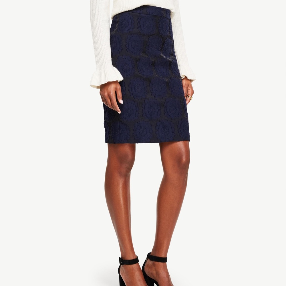 Ann Taylor Skirt