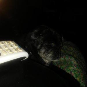 Meet your Posher, Sandra