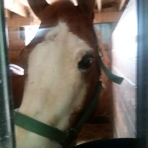 Meet your Posher, Emma