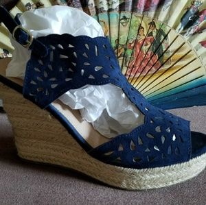 Blue Suede Wedges