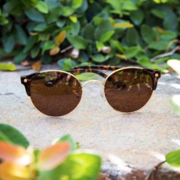 YHF Los Angeles Accessories - YHF Los Angeles Brown Tortoise Sunglasses