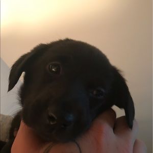 Meet your Posher, Marilyn