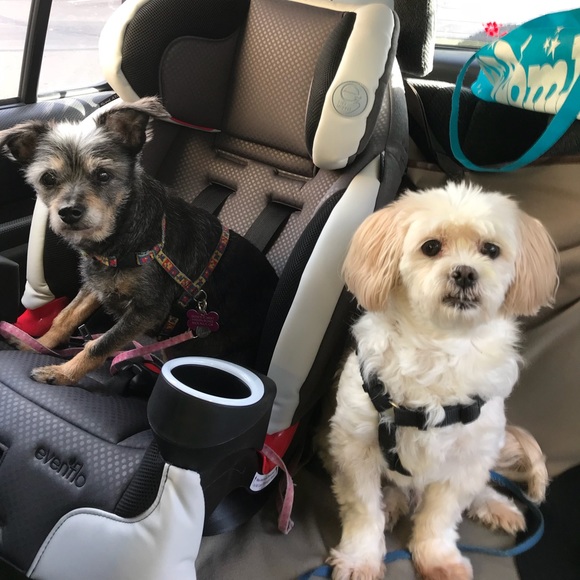 Reasonable offers welcome! - Picture 2 of 10