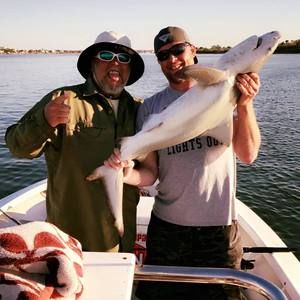 Meet your Posher, Hugh