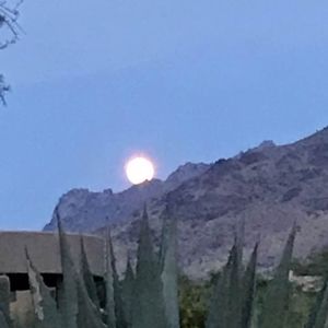 Meet your Posher, Julie