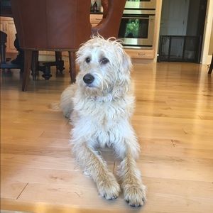 Meet your Posher, Jordan