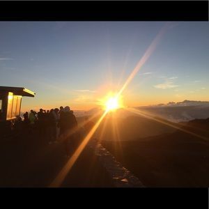 Meet your Posher, Robin