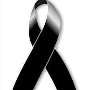 Meet your Posher, Anisel