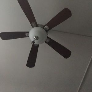 Meet your Posher, Claudia