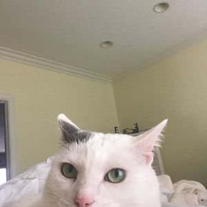 Meet your Posher, Armon