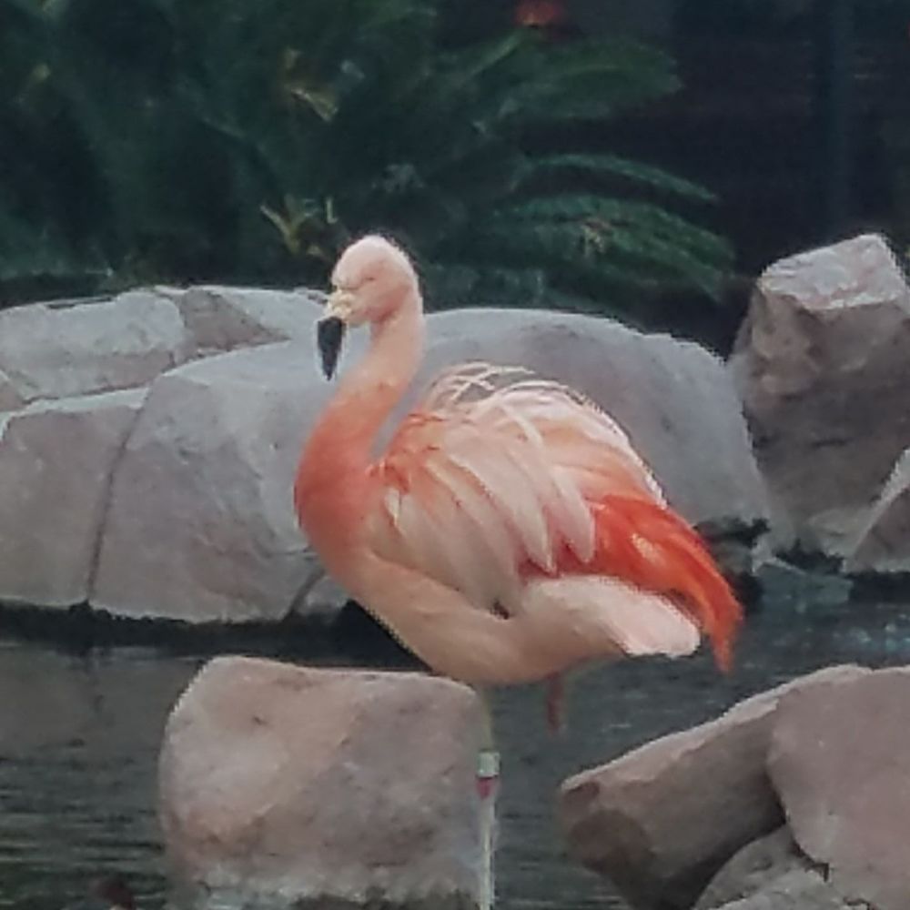 Meet your Posher, Cathy