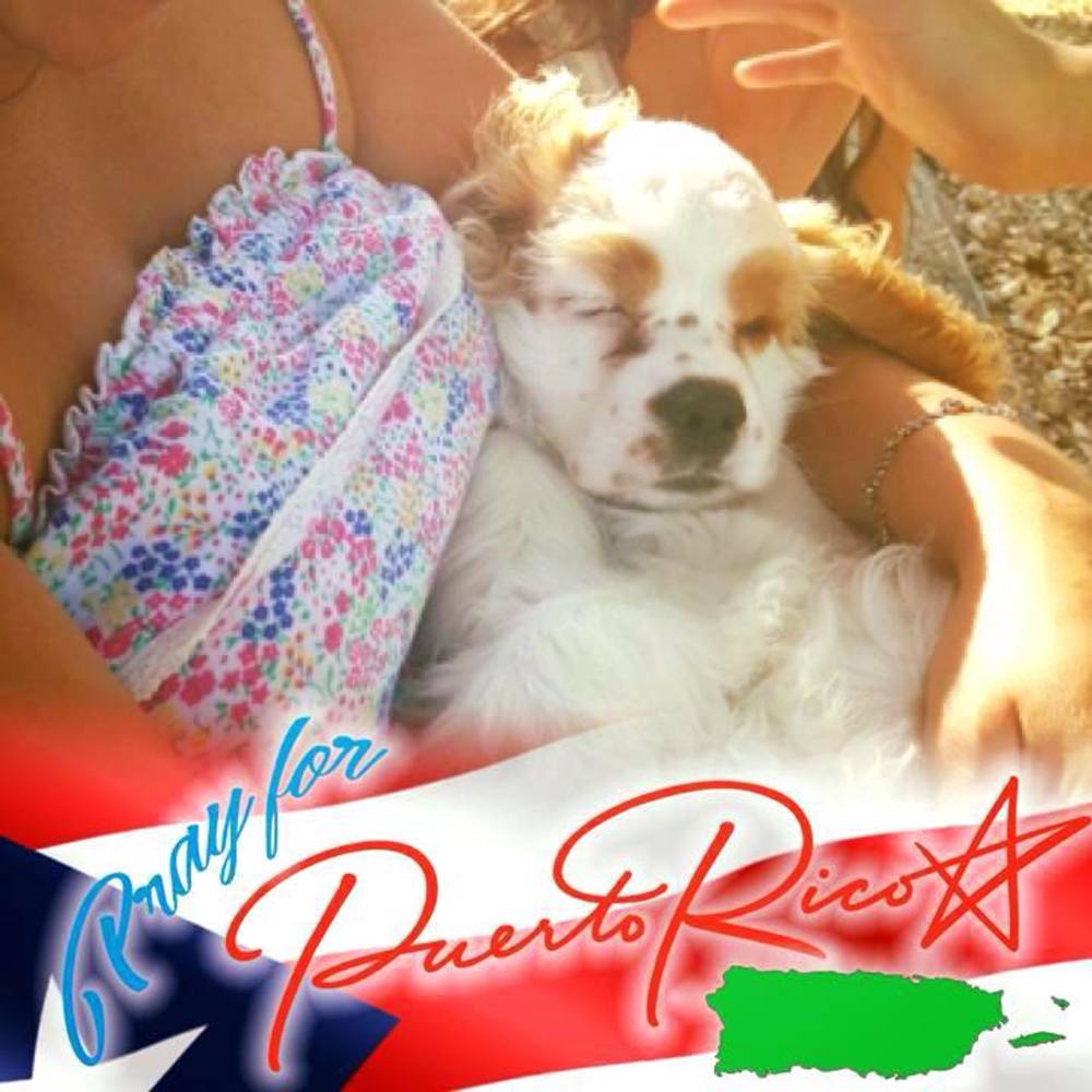 Meet your Posher, Thalia