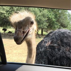 Meet your Posher, Lynn