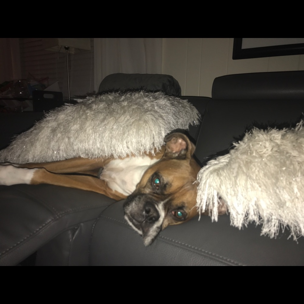 Meet your Posher, Nicole