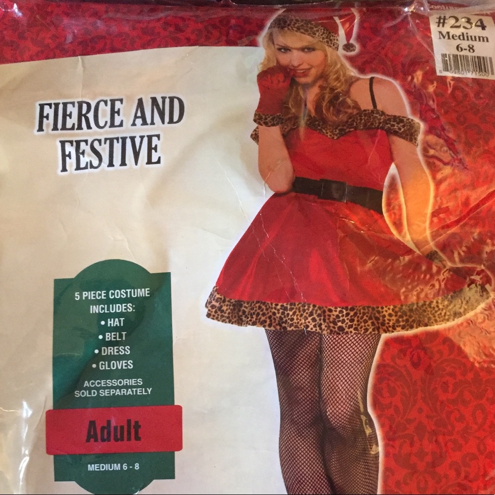 Sexy Santa Clause costume