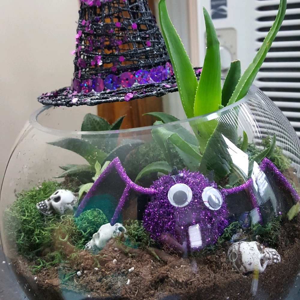 Meet your Posher, Tabbatha