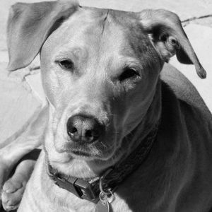 Meet your Posher, Bernadette