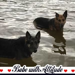 Meet your Posher, Valerie