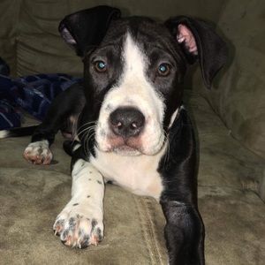 Meet your Posher, Jill