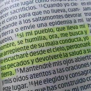 Meet your Posher, Alma