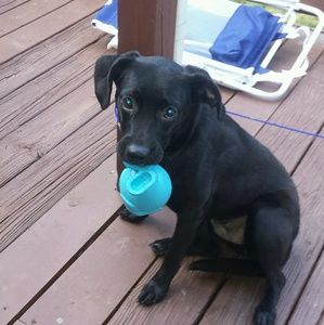 Meet your Posher, Eugene