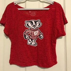 Wisconsin badgers top