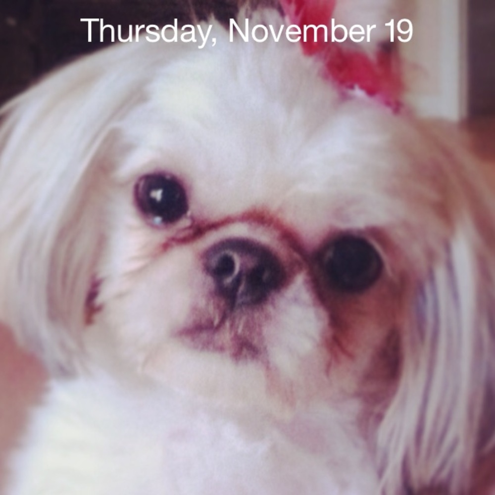 Meet your Posher, Mary