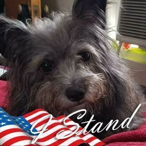 Meet your Posher, Robyn