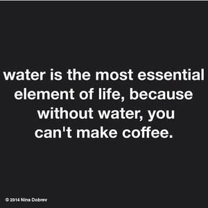 Meet your Posher, Bill