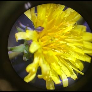 Meet your Posher, Emi