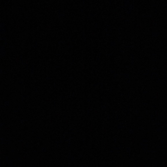 Meet your Posher, Riley - Picture 1 of 1