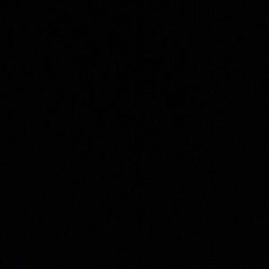 Meet your Posher, Riley