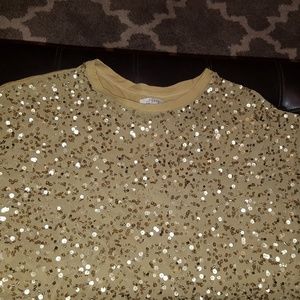 Zara women's sequins  top
