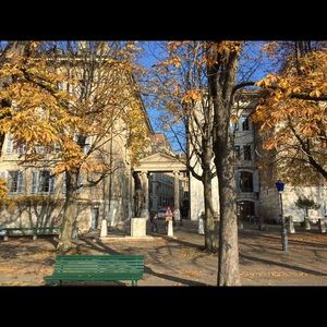 Meet your Posher, Cedar