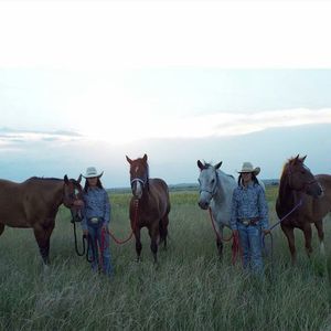 Meet your Posher, Bailey