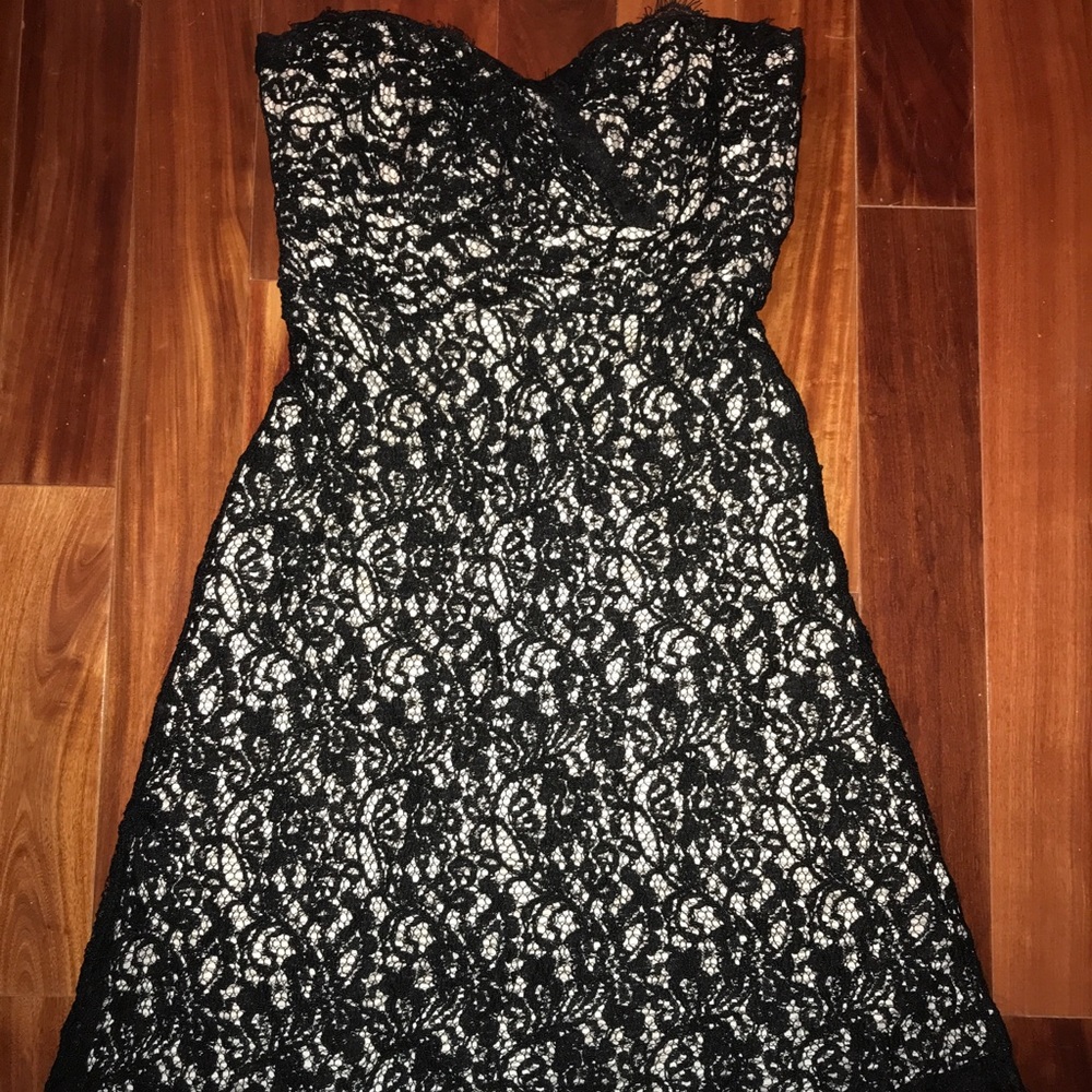 White House black market lace cocktail dress