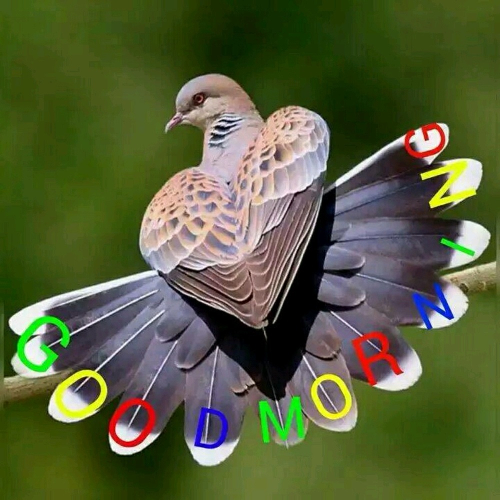 Meet your Posher, Anita