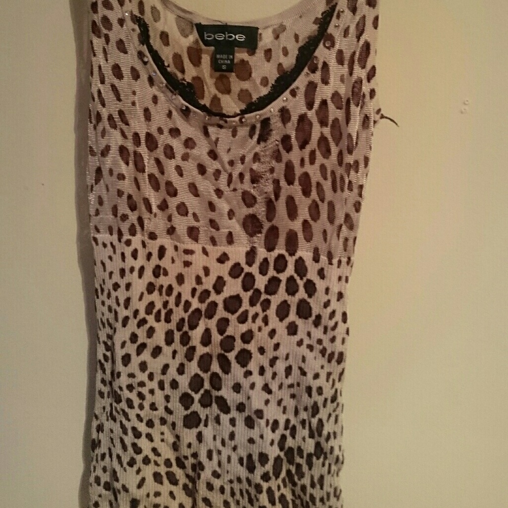 Bebe leopar 🐆