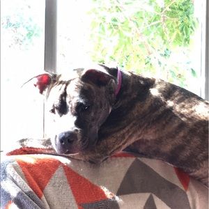 Meet your Posher, Natasha