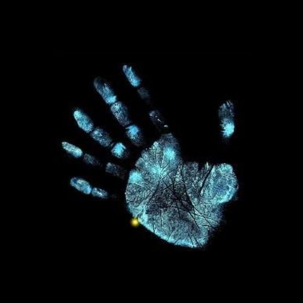 Meet your Posher, Stacey