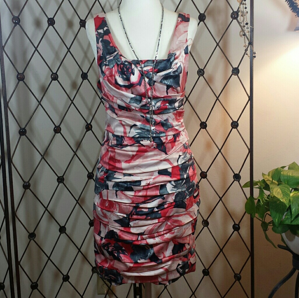 Express Red, Pink, Black&Gray Floral Ruched Dress